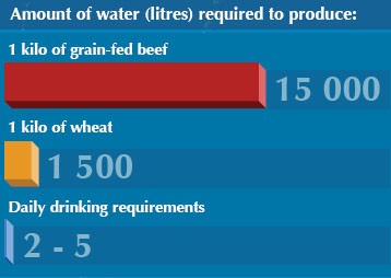 Water consumption for food production